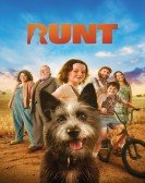 Runt Free Download