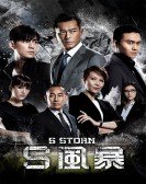 S Storm poster