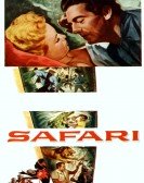 Safari poster