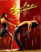 poster_salsa_tt0096030.jpg Free Download