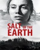 Salt of the Earth Free Download