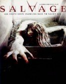 Salvage Free Download