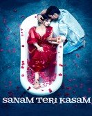 Sanam Teri Kasam Free Download