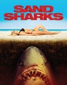 Sand Sharks Free Download