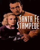 poster_santa-fe-stampede_tt0030714.jpg Free Download