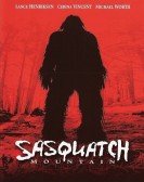 Sasquatch Mountain poster