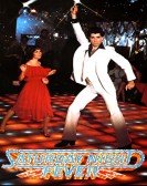 poster_saturday-night-fever_tt0076666.jpg Free Download