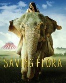 Saving Flora Free Download