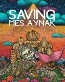 Saving Mes Aynak Free Download