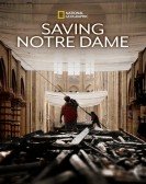 poster_saving-notre-dame_tt12224314.jpg Free Download