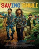 Saving Shuli poster