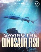 Saving the Dinosaur Fish poster