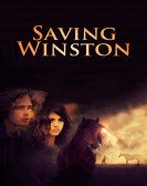 Saving Winston Free Download