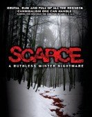 Scarce Free Download