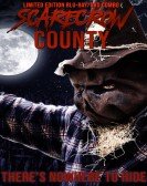 Scarecrow County Free Download