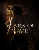 Scars of Xavier poster