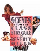 poster_scenes-from-the-class-struggle-in-beverly-hills_tt0098261.jpg Free Download