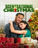 poster_scentsational-christmas_tt20220954.jpg Free Download