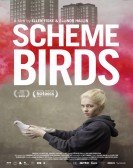 Scheme Birds poster