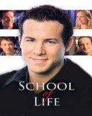 School of Life Free Download