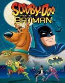 poster_scooby-doo-meets-batman_tt0068112.jpg Free Download