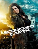 Scorched Earth Free Download