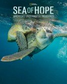 Sea of Hope: America's Underwater Treasures Free Download