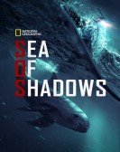 Sea of Shadows Free Download