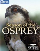 poster_season-of-the-osprey_tt15139858.jpg Free Download