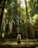 Seasons Free Download