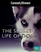 Secret Life of Dogs poster