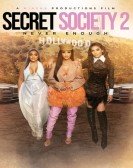 Secret Society 2: Never Enough poster