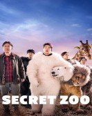 poster_secret-zoo_tt11566164.jpg Free Download