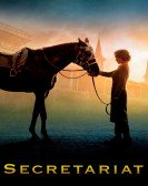 Secretariat Free Download