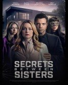 Secrets Between Sisters Free Download