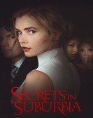 Secrets in Suburbia (2017) Free Download