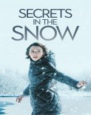 Killer Secrets in the Snow Free Download