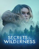 Secrets in the Wilderness Free Download