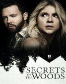 poster_secrets-in-the-woods_tt12076518.jpg Free Download