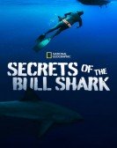 poster_secrets-of-the-bull-shark_tt13130602.jpg Free Download