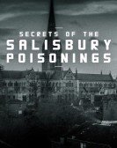 poster_secrets-of-the-salisbury-poisonings_tt16709752.jpg Free Download