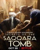 Secrets of the Saqqara Tomb poster