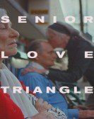 Senior Love Triangle Free Download