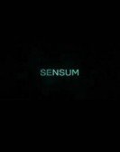 Sensum Free Download