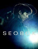 Seobok Free Download