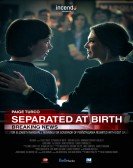 Separated at Birth Free Download