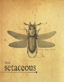 Setaceous poster