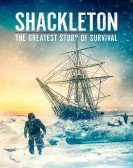 poster_shackleton-the-greatest-story-of-survival_tt23708714.jpg Free Download