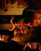 Shadow of Fire Free Download