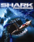 Shark Attack in the Mediterranean poster